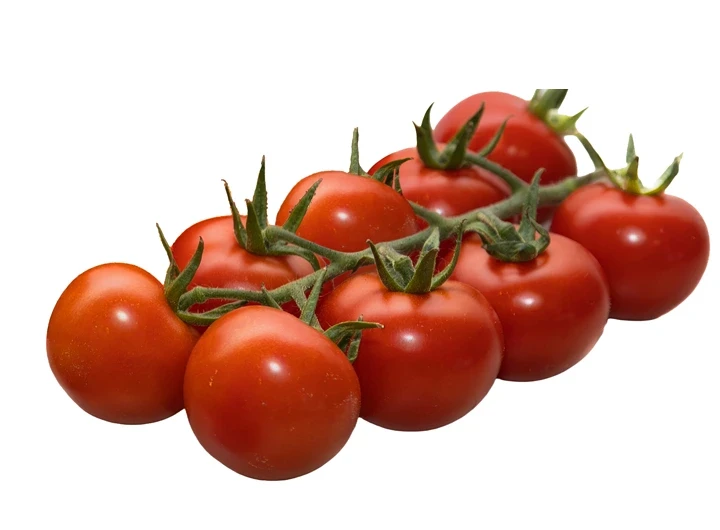 Cocktailtomaten van Young Grow